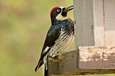 09-12-2020-cr_D7K4029-ON1.jpg