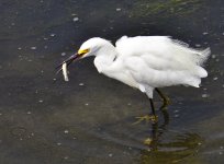 _ROY2703_00002.jpg