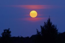 D73_4713.jpg
