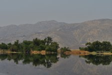 _ROY3084_00001.jpg