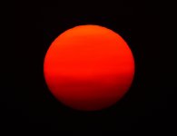 _ROY3229_00001.jpg