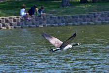 750_0154_01_L_sm.jpg