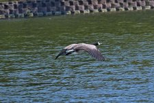 750_0158_01_L_sm.jpg