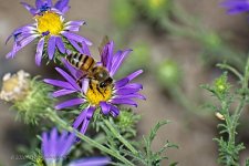 09-15-2020-cr_D7K4038-ON1.jpg