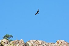 09-16-2020-cr_D7K4041-ON1.jpg