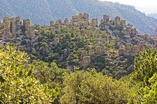 09-16-2020-cr_D7K4047-ON1.jpg