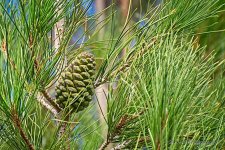 09-22-2020-cr_D7K4087-ON1.jpg