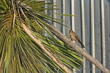 09-22-2020-cr_D7K4105-ON1.jpg