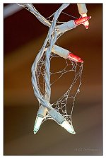 09-23-2020-cr_D7K4126-ON1.jpg