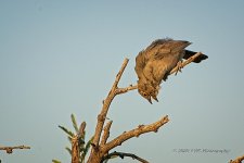09-23-2020-cr_D7K4137-ON1.jpg