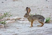 09-24-2020-cr_D7K4165-ON1.jpg