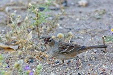 09-25-2020-cr_D7K4182-ON1.jpg