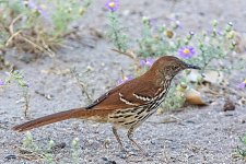 09-26-2020-cr_D7K4197-ON1.jpg