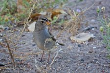 09-27-2020-cr_D7K4211-ON1.jpg