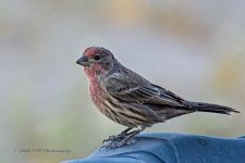 09-27-2020-cr_D7K4215-ON1.jpg
