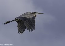 20200927-RD5_3433.jpg