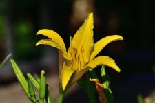 _ROY4725_00001_01.jpg