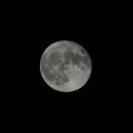 D73_4795.jpg