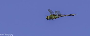 20200930-RD5_3519-Edit.jpg