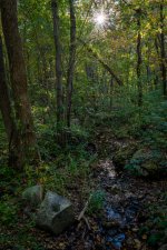Wawayanda woods stream-1.jpg