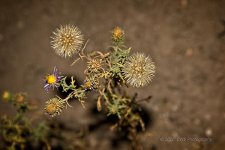 10-04-2020-cr-cl_7503316-ON1.jpg