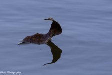 20200930-RD5_3535.jpg