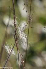 20201008-RD5_3744-Edit.jpg