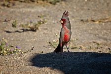 10-10-2020-cr_D7K4305-ON1.jpg