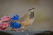 10-11-2020-cr_D7K4335-ON1-B.jpg