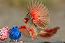 10-11-2020-cr_D7K4341-ON1-B.jpg