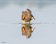 GBHHunt-623.jpg