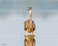 GBHHunt-627.jpg