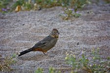 10-13-2020-cr_D7K4381-ON1-B.jpg