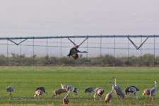 10-16-2020-cr_D7K4406-ON1-B.jpg