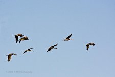 10-17-2020-cr_D7K4429-ON1-B.jpg