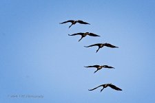 10-17-2020-cr_D7K4436-ON1-B.jpg