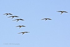 10-17-2020-cr_D7K4438-ON1-B.jpg