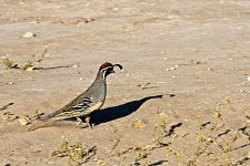 10-19-2020-cr_D7K4458-ON1-B.jpg