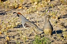 10-19-2020-cr_D7K4478-ON1-B.jpg