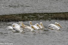 20201015-RD5_3904-Edit.jpg