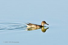 10-20-2020-cr_D7K4480-ON1-B.jpg