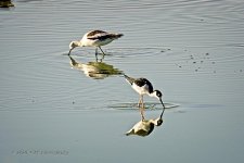 10-20-2020-cr_D7K4487-ON1-B.jpg