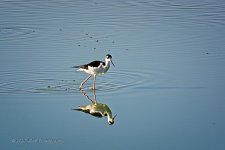 10-20-2020-cr_D7K4489-ON1-B.jpg