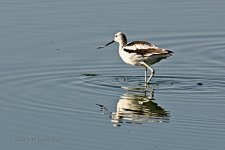 10-20-2020-cr_D7K4494-ON1-B.jpg