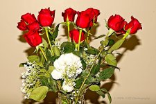 10-21-2020-cr_7503338-ON1-B.jpg