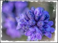 _DSC7239-Edit.jpg