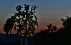 _ROY5605_00001.jpg