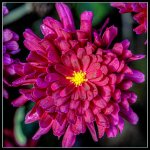_DSC7256-Edit.jpg
