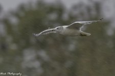20201015-RD5_3919.jpg