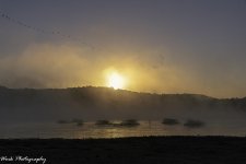 20201016-R81_5517.jpg